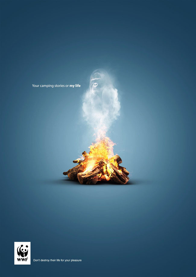 埃及WWF保護動物公益廣告招貼設計