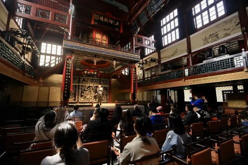 西城文化演藝市場 繁榮背后的數據與經營之道